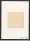 Diatomeae indet. Zeichnungen Sammlung Grunow (NHMW-BOT-W0368404)